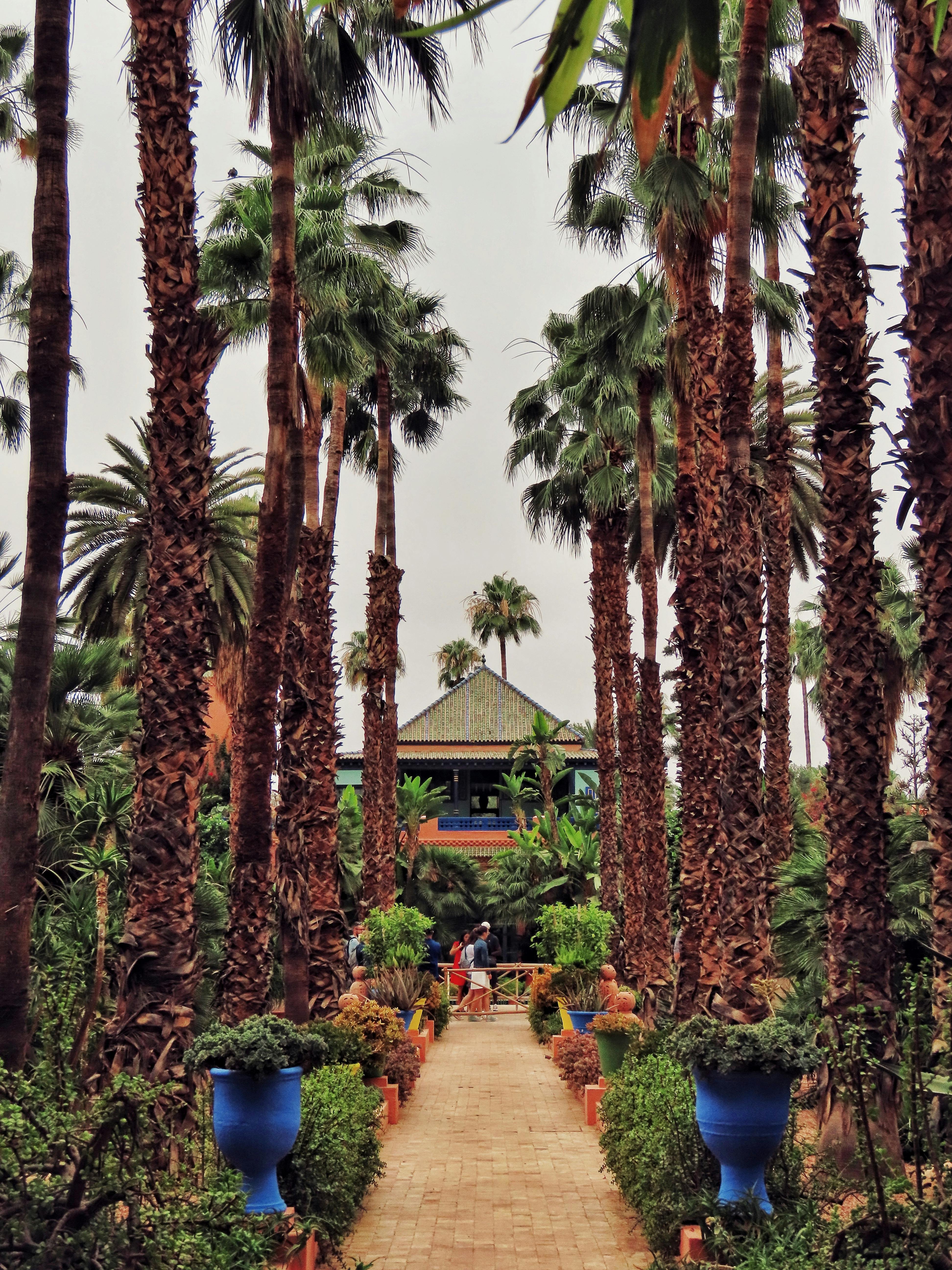 Jardin Majorelle